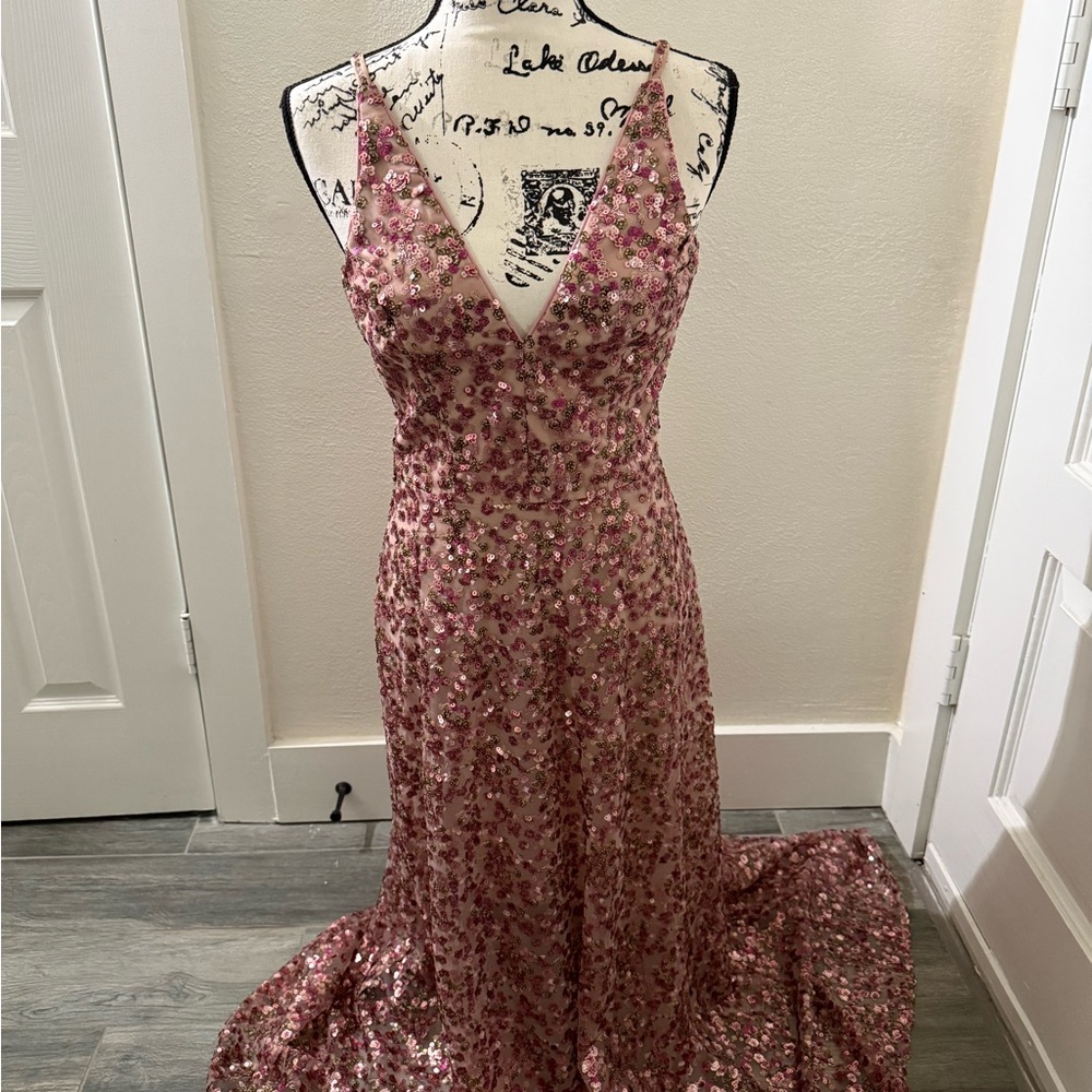 Dress the Population Pink Prom Gown Sleeveless V-Neck